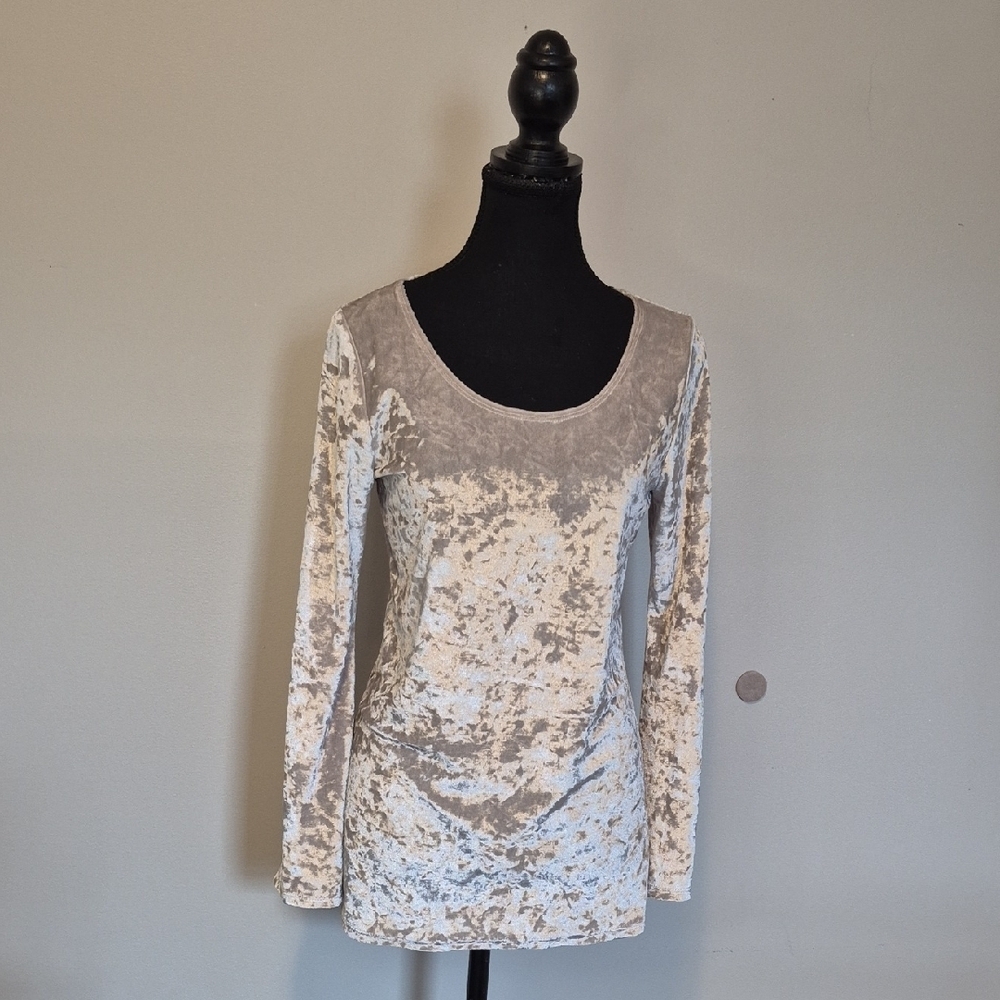 Elegant Velvet Long Sleeve Top - S